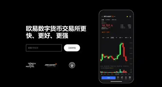 o意交易平台官网系统展示图